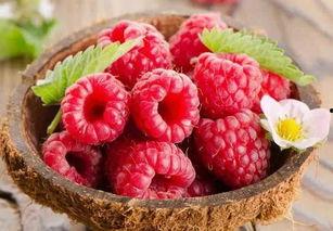 树莓最新爆料视频,揭秘神秘功能与惊艳外观